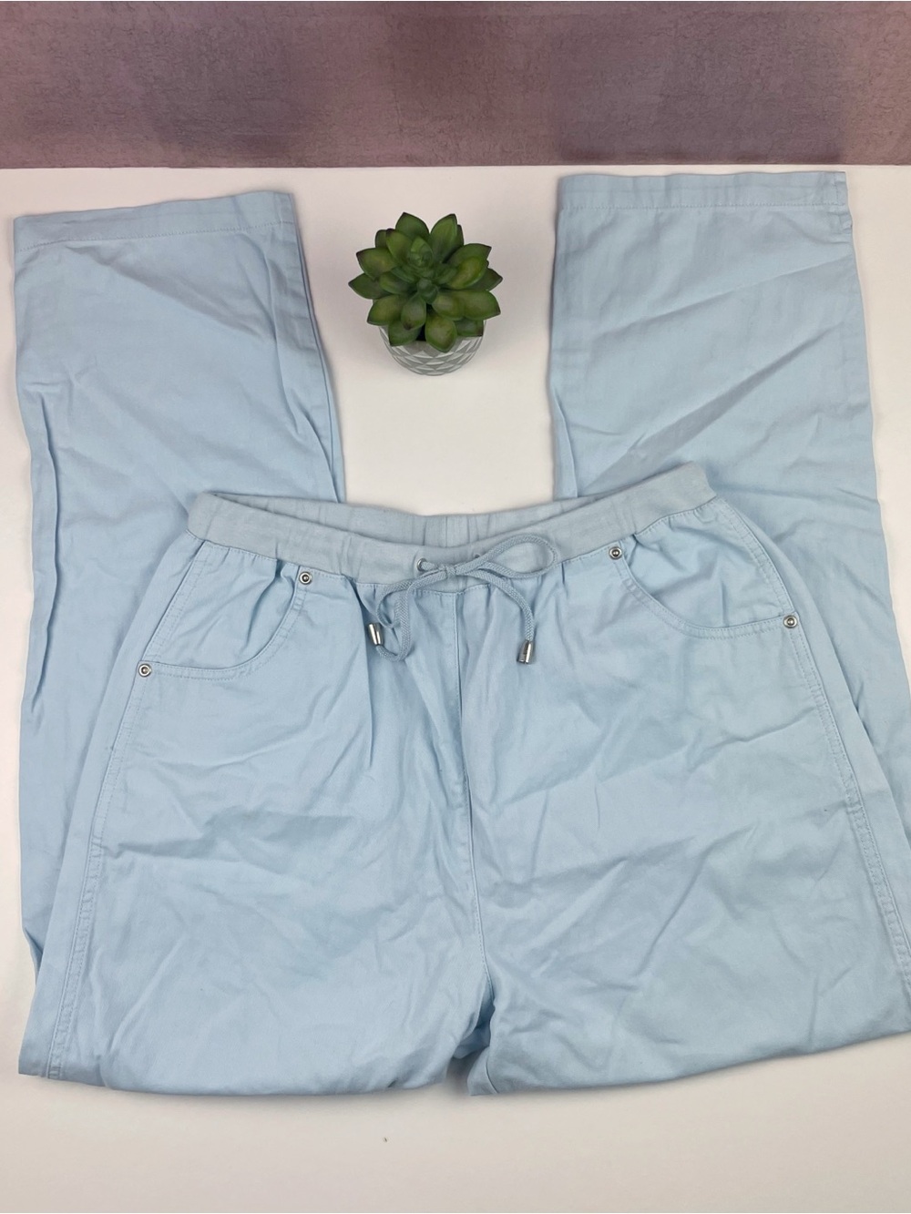 Blast Solid Light Blue Pants Women Size Large Casual